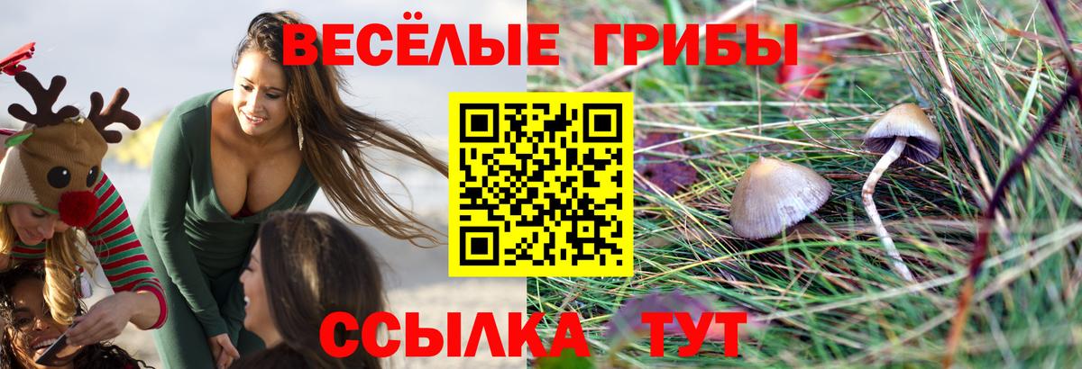 Люберцы  Псилоцибиновые грибы MAGIC MUSHROOMS  Вход с VPN 